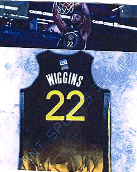 Wiggins (維金絲) 背心